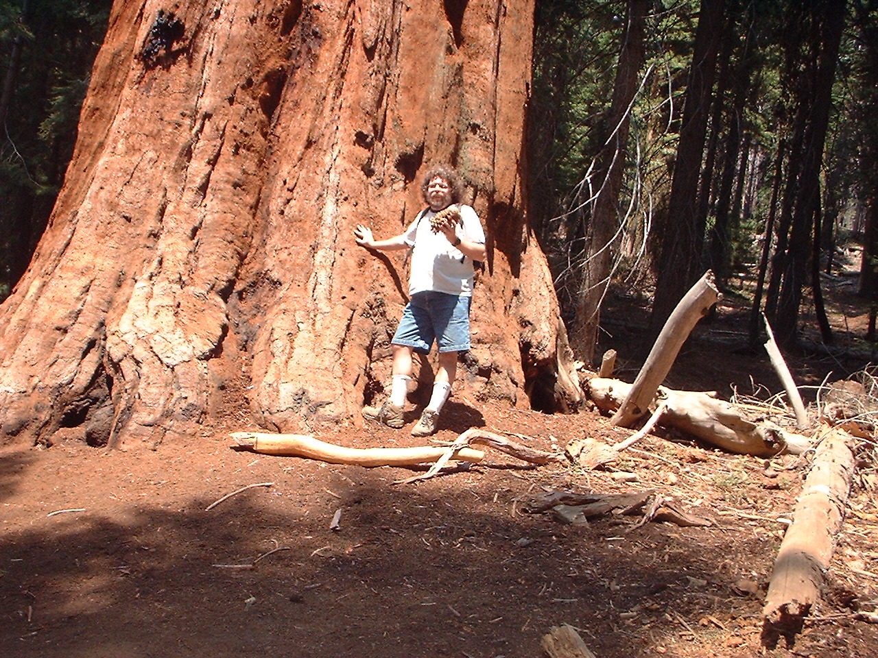 Chip Wood s Home Page